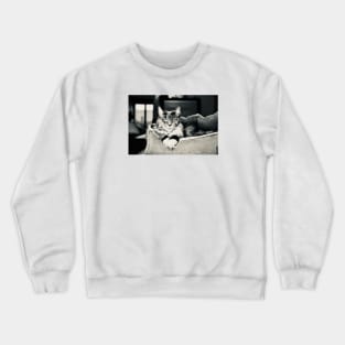 Cat main coon black and white / Swiss Artwork Photography Crewneck Sweatshirt
